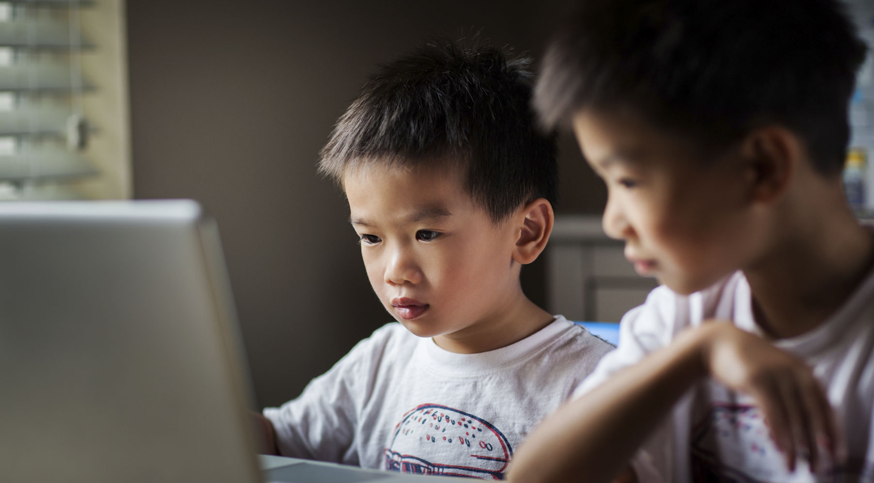 Figtree Learning - Private Tutoring Agency London