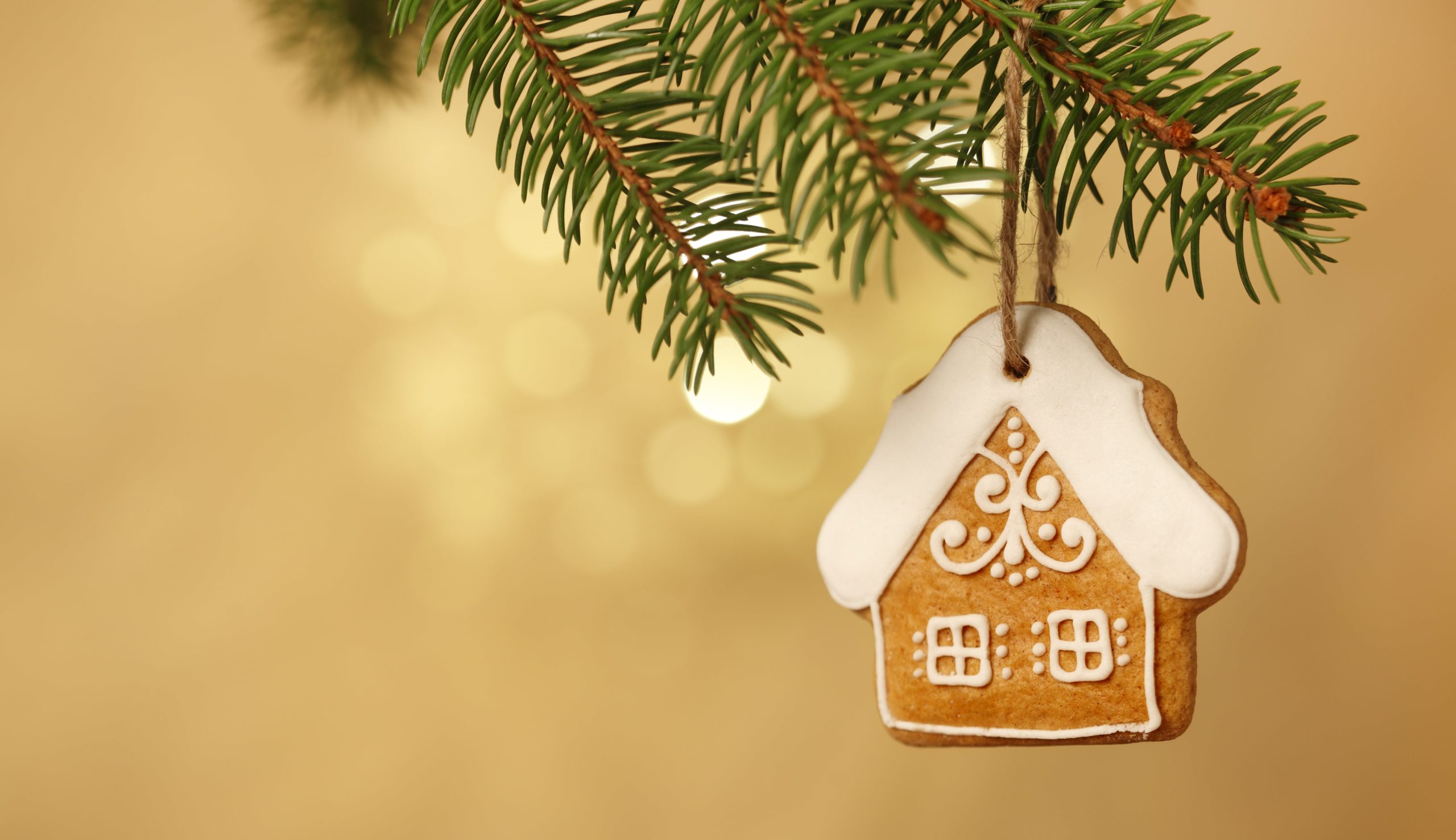 Figtree’s 12 days of Christmas
