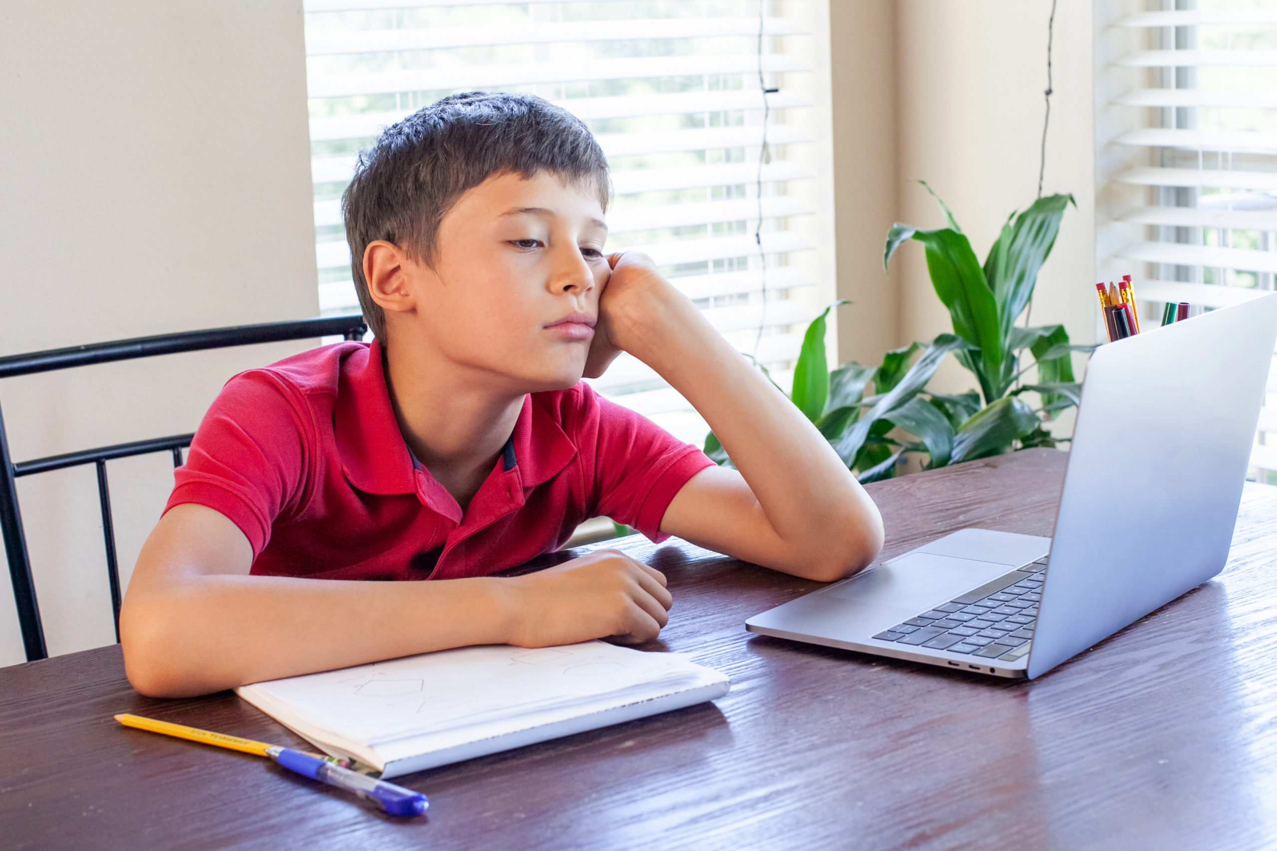 The realities of online schooling
